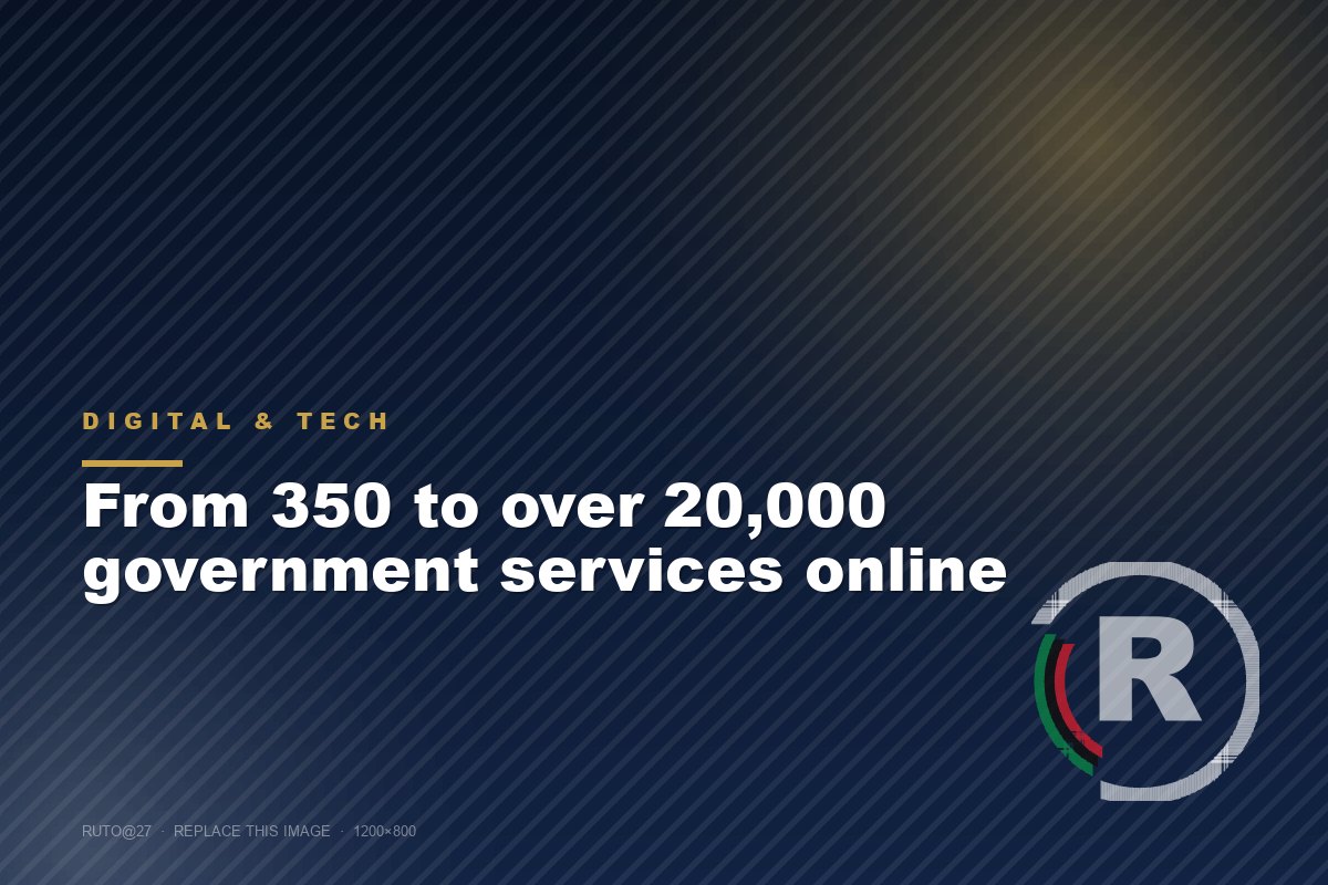 From 350 to over 20,000 government services online