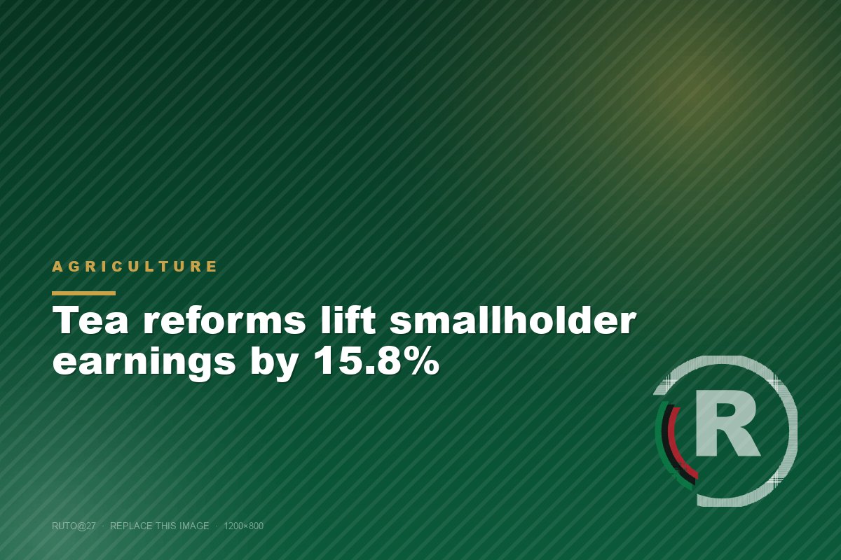 Tea reforms lift smallholder earnings by 15.8%