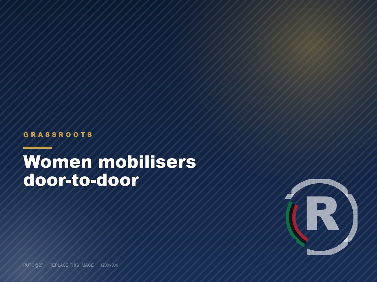 Women mobilisers door-to-door