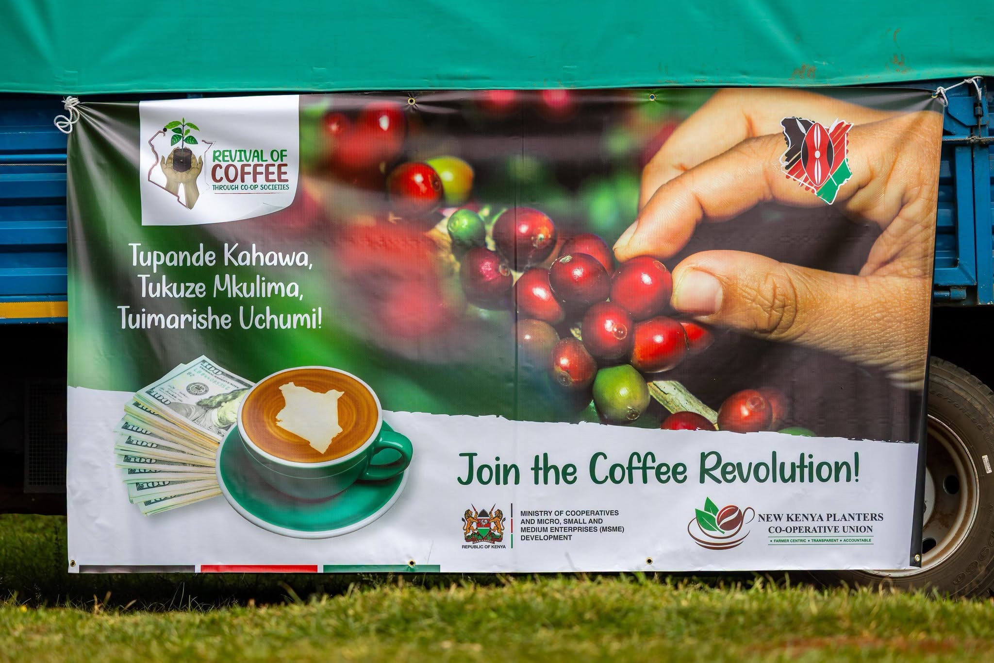 Coffee reforms nearly triple what the farmer earns per kilo